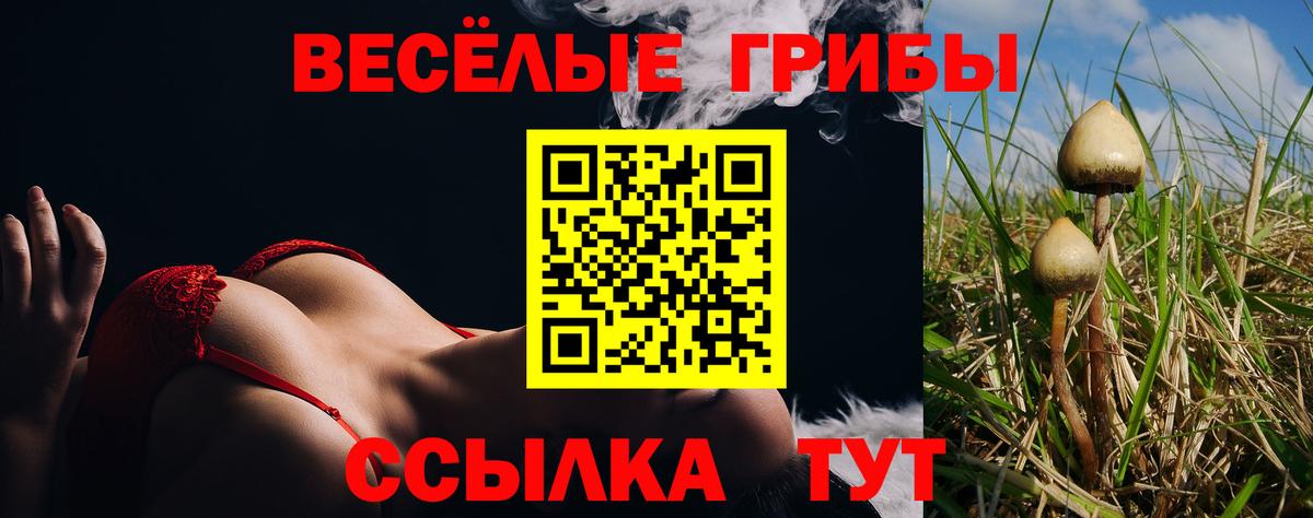 Краснокаменск  Галлюциногенные грибы мицелий  Вход с VPN 