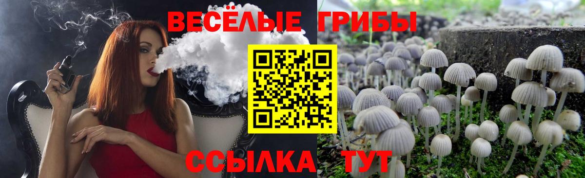 Псилоцибиновые грибы Cubensis Краснокаменск